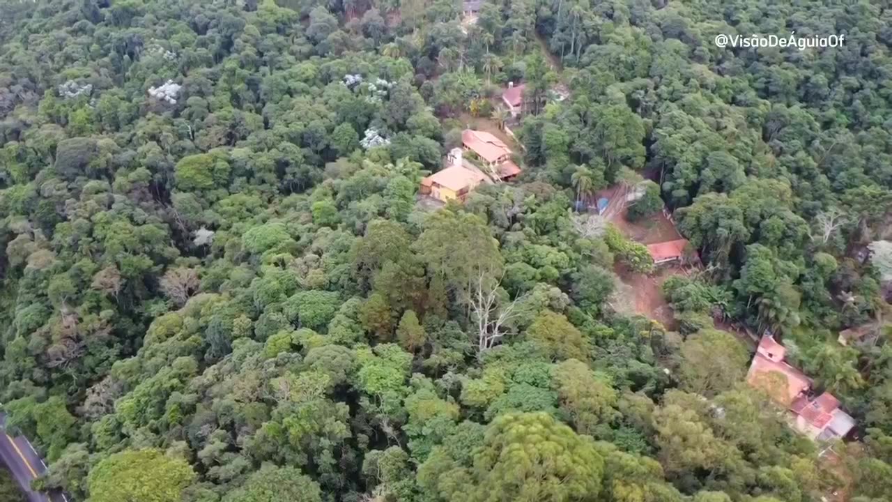 A PROCURA da PET ALERBEY em CAIEIRAS SP | Visao de Aguia