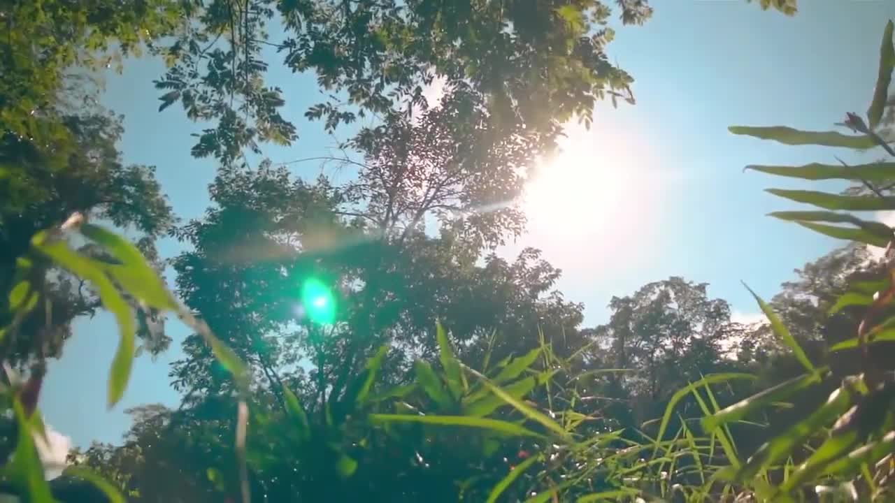 UMA GOTA NO OCEANO