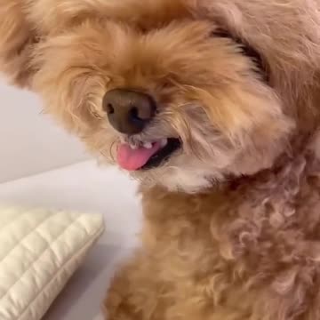 How u get mad at your own fart??🤣