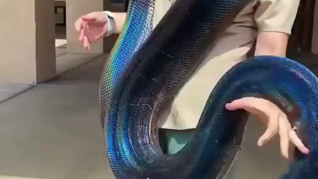 Pet lol 🤣🤣🤣🤣🤣