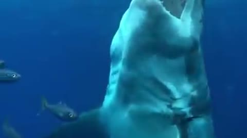 Sharks fish trying to take bite 😱