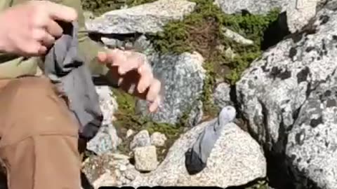 exploring alaska's hidden gold mines