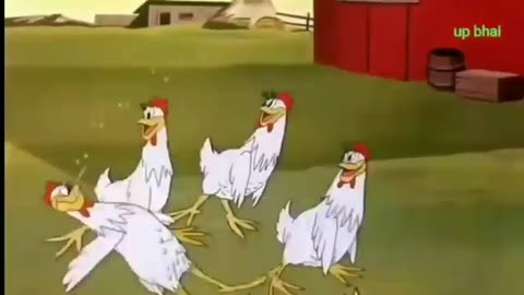 Cartoon funny video