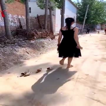 Guinea pigs cannibals