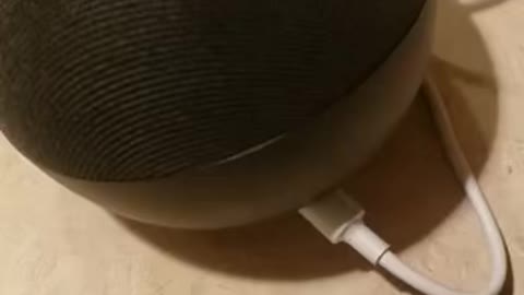 ALEXA EXPOSED
