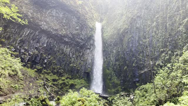 Straight View of Dry Creek Falls – Columbia River Gorge – Oregon – 4K