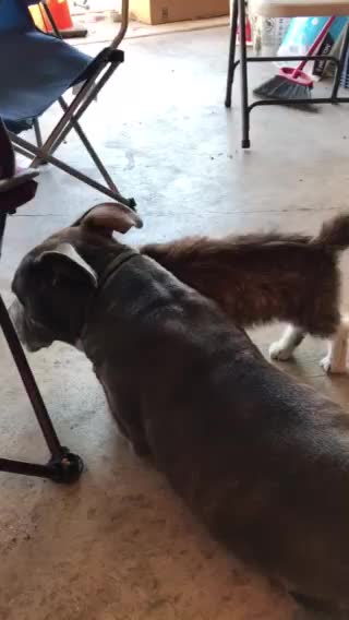 You’re gonna love me