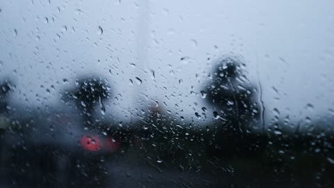 Outside the window on a rainy day