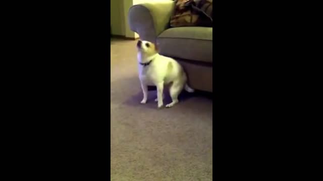 me when the funk tamborzão plays
