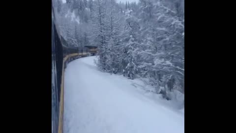 View from the train to the winter forest