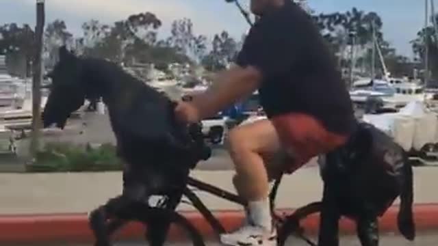 By cycle with horse