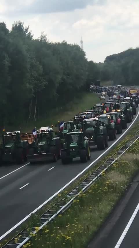 ΑΓΡΟΤΕΣ ΣΤΗΝ ΟΛΛΑΝΔΙΑ