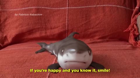 Baby Shark Funny Short Video। New Video