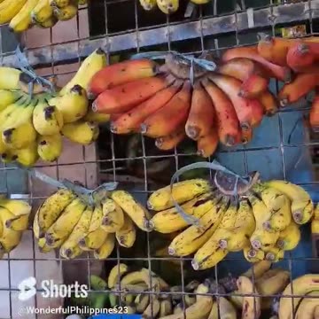 Fresh Banana and Papaya sold Roadside. Very Common Sight in the Philippines.