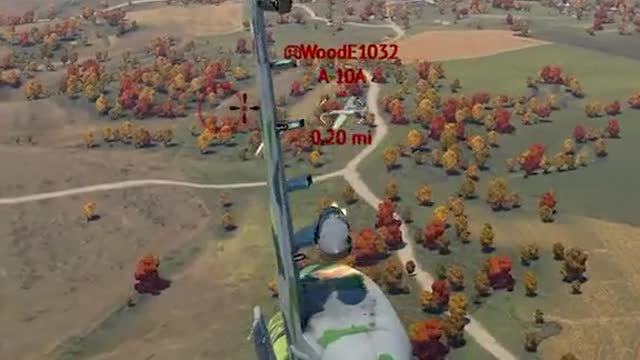 Here Piggie Piggie
