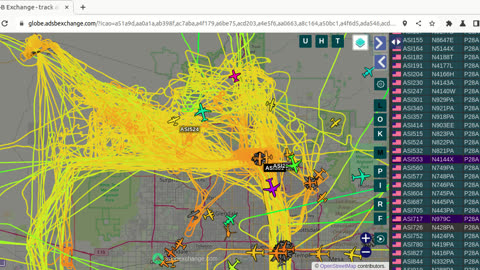 Bird Nazi traffic report Feb 1st 2024 - 5pm -