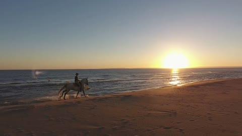 Following a horse rider galoping along the mediterranean sea during sunset