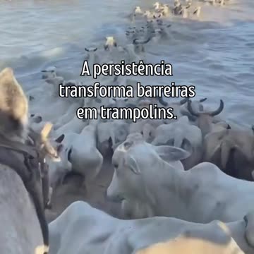 O caminho é longo, mas a recompensa vale a pena.