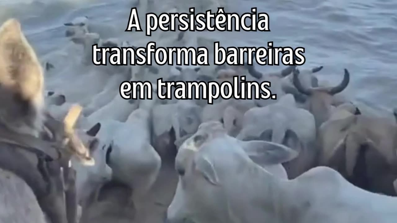 O caminho é longo, mas a recompensa vale a pena.