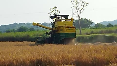 John Deere 5310 Harvest