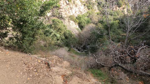 Mount Wilson trail