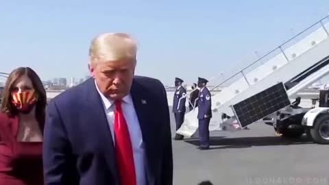 The Don knew all along