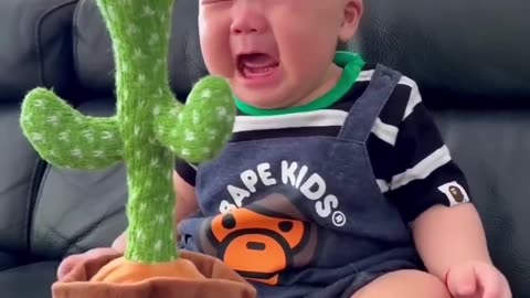 Cute babies playing with Dancing Cactus (Hilarious) Cute babies 😀