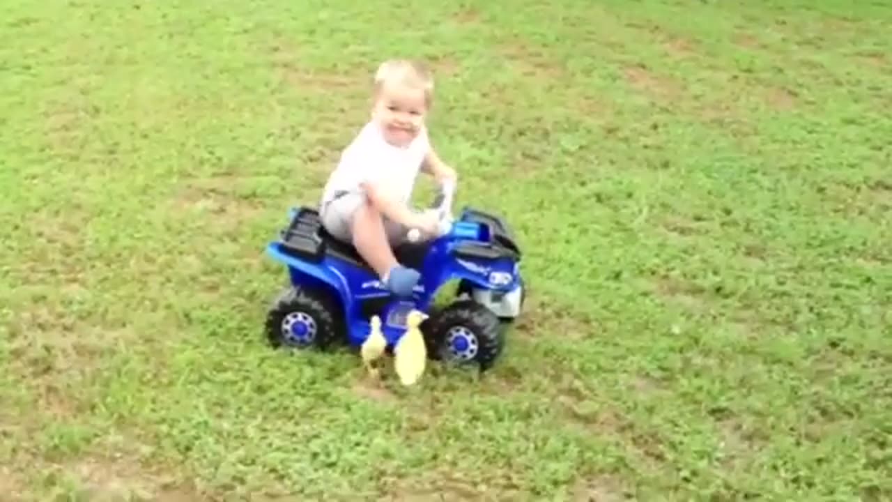 Cute babies playing with fauna