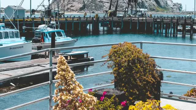 POV: You explore theChannel Islands & Road-tripthe Central Coast