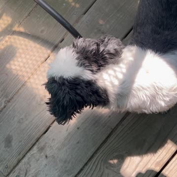 She Always Smell Every