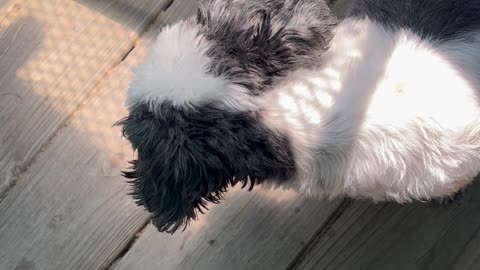 She Always Smell Every