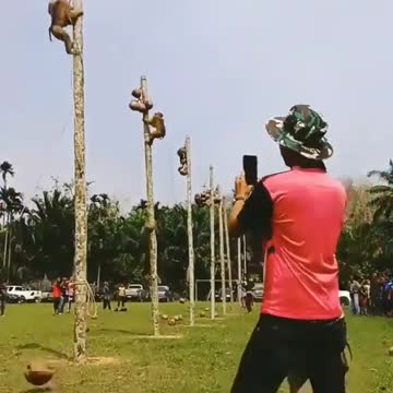 Shorts Video #shorts #funny #shortsvideo #viralshortsvideo #newshortsvideo #newshorts #funnyshorts