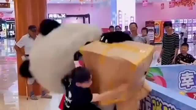 Why is this so funny - panda love (wholesome world)