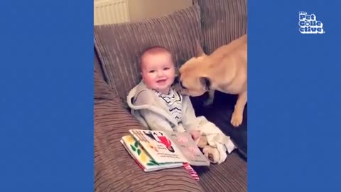 animals_cute 179