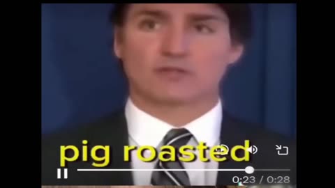 Stupidest Man on Earth