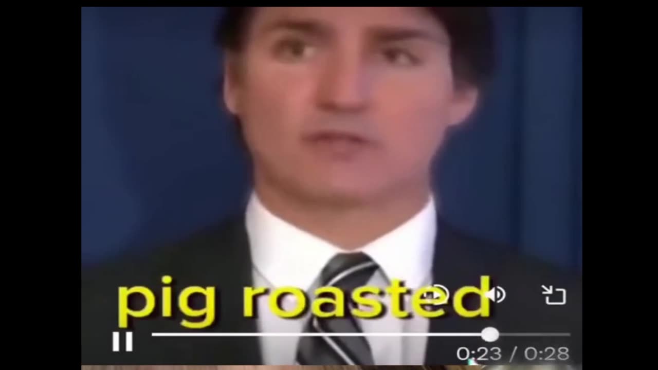 Stupidest Man on Earth