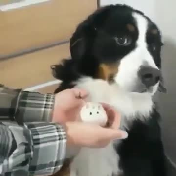 He doesn’t care about his new friend