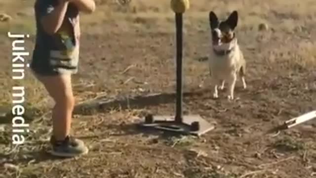 Child and dog playing baseball