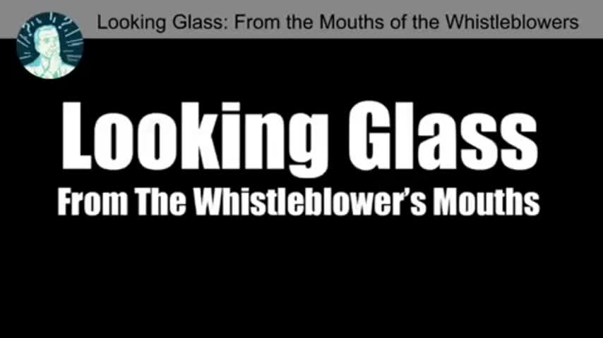 Project Looking Glass - From the Mouths of the Whistleblowers Documentary [mirrored]