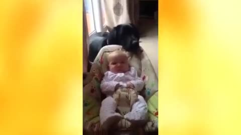 Dog taking care a baby