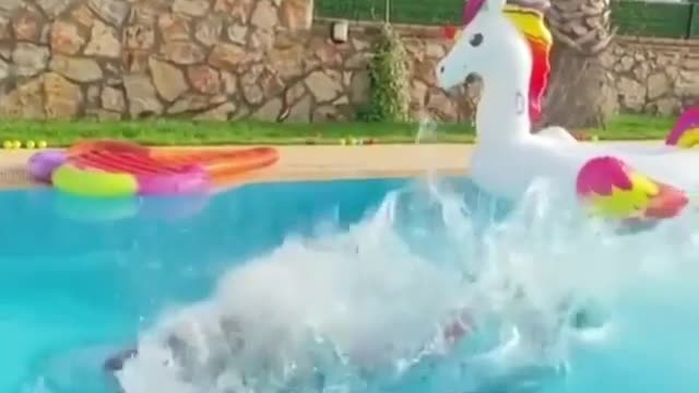 Khaby Lame Swimming pool Tiktok video