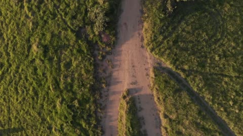 Road Drone Clip