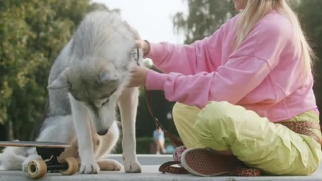 Dogs training