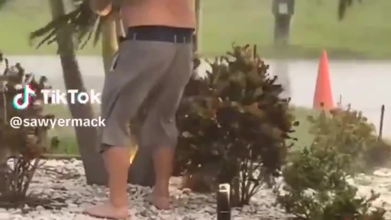 Man saves mama bird and her babies during a hurricane in Florida.. 🙏