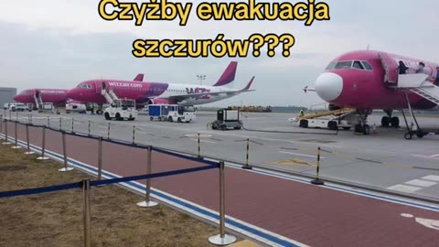 Ewakuacja szcz