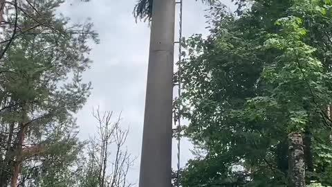 5G als Bäume getarnt