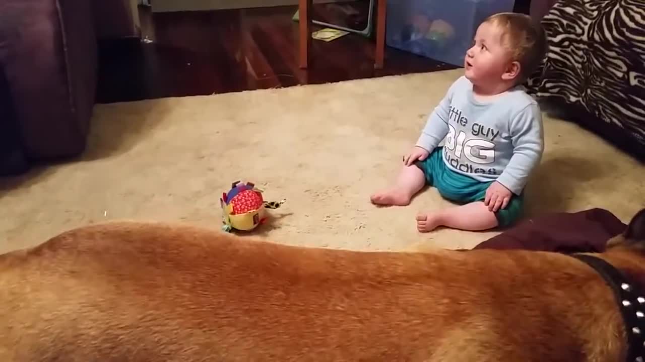 Baby laughing at dog & bubbles