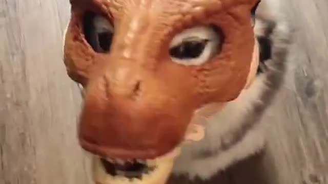 Funny Dog with Mask