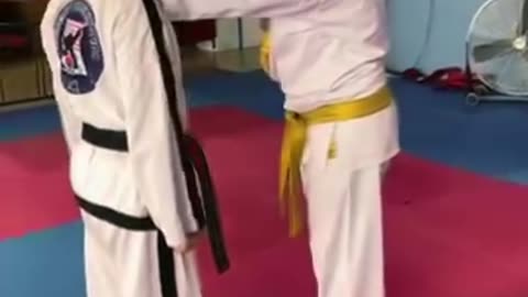 Sin Moo Hapkido