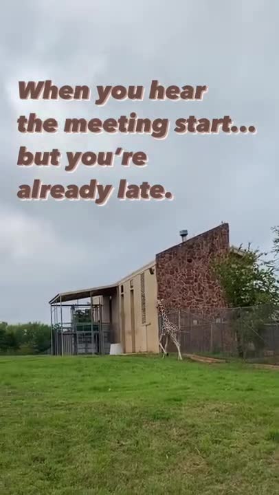 Giraffe woke up late again. #shorts